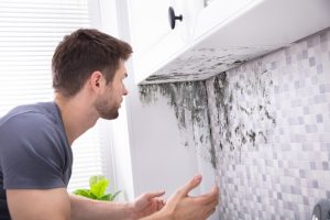 Black Mould Removal in Wigan