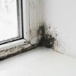 Black Mould Removal in Bolton 
